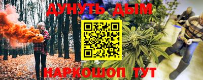 дживик Кингисепп